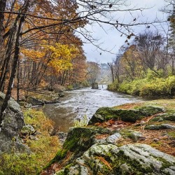 Echoes of Autumn on the Paper Mill Trail - Maine River Wall Art