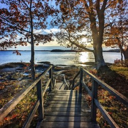 Winslow Park Golden Hour - Freeport Maine Wall Art