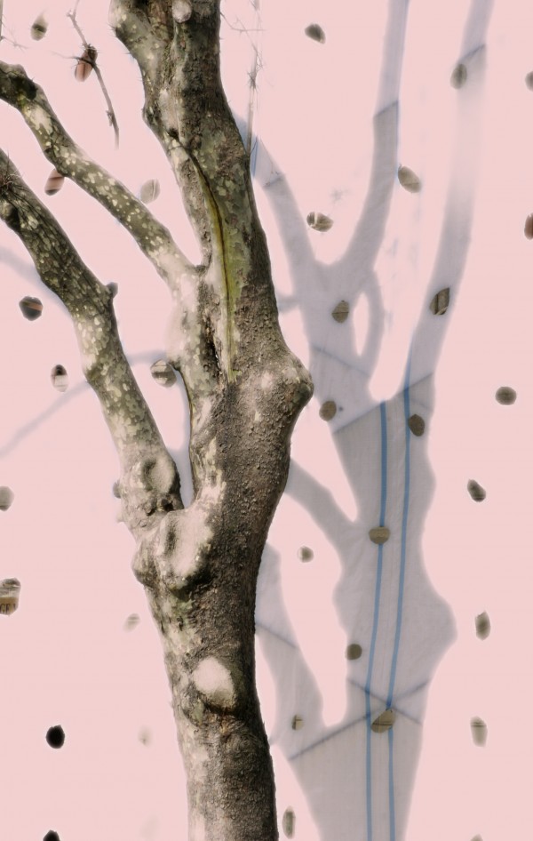 Istambul Dancing Tree Print