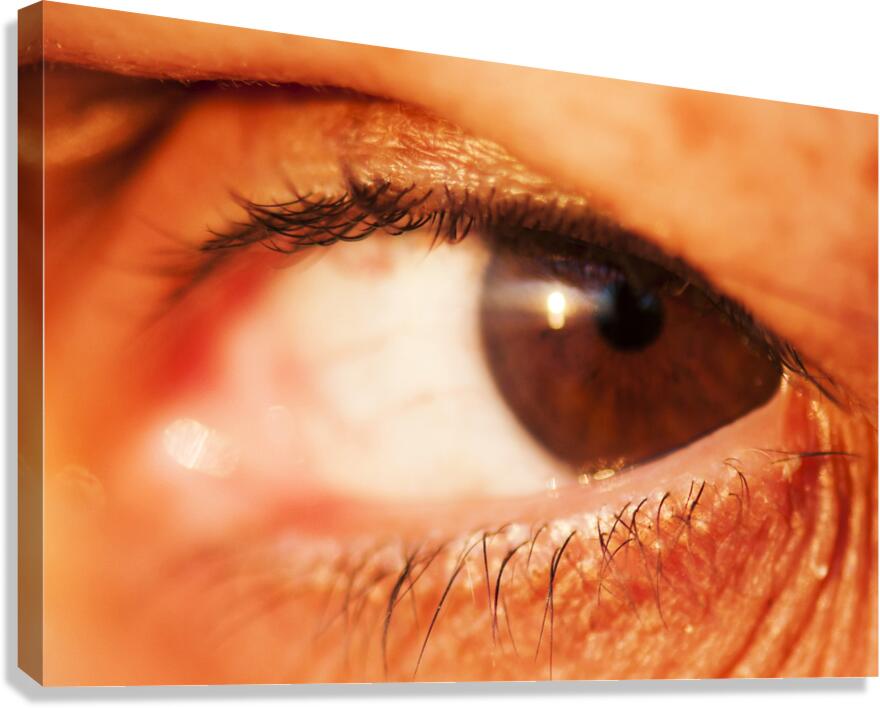 Eye 2 Canvas Print
