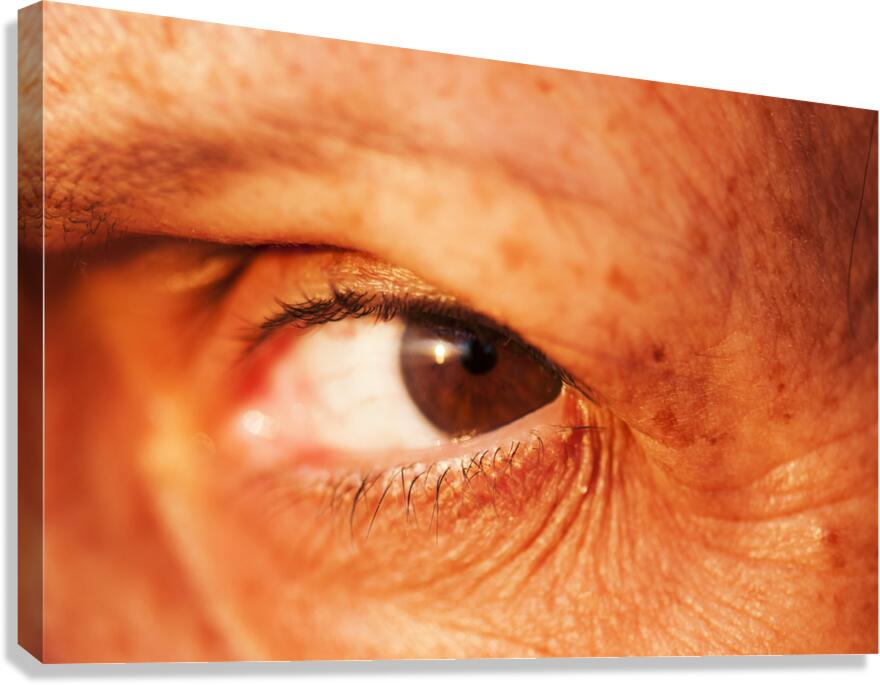 Eye 1 Canvas Print