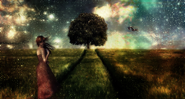 Fields of Stardust Print