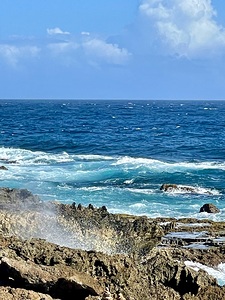 Salt Spray Aruba