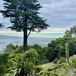 Overlook at Dunedin NZ