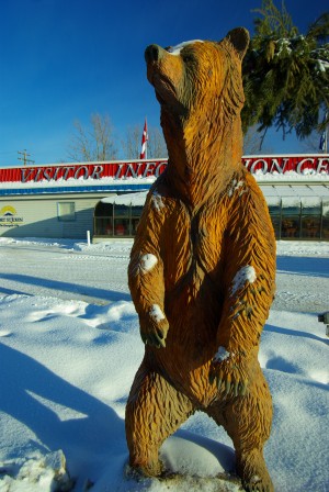 Bear on Guard