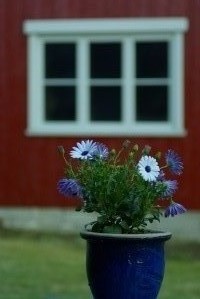 Flowerpot