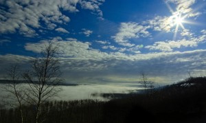 Fog on the River