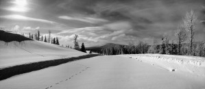 Winter