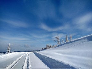 Winter Road