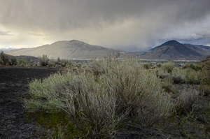 Desert storm