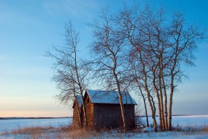 Prairie Shed