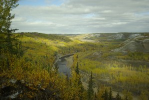 Fall Colours