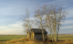 Prairie Shed