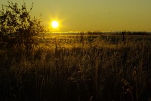 Fall Sunrise