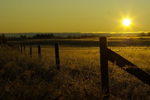 Winter Sunrise