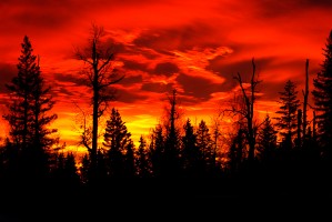 Sunrise