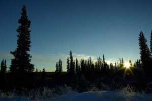 Winter Sunrise