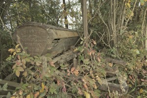 Overgrown