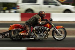Harley