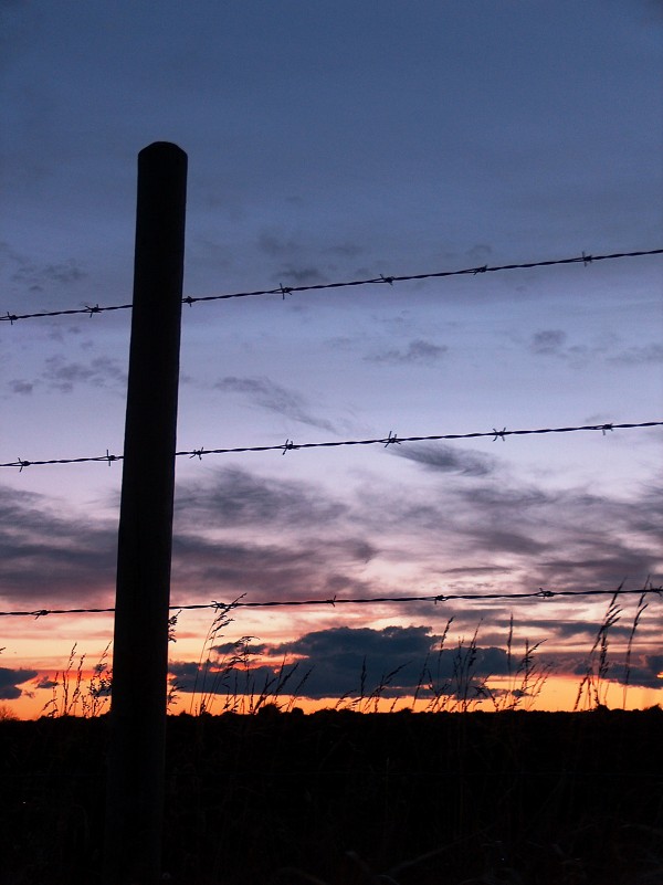 Fence at Sunset Print