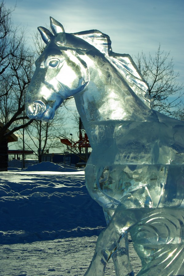 Ice Horse  Print