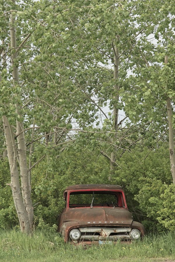 Gonna Buy Me a Mercury Print