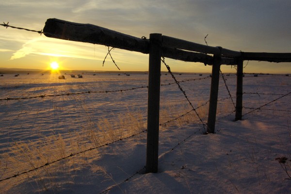 Winter Sunrise Print