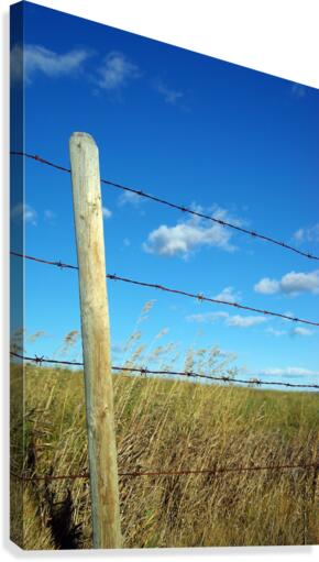 Leaning Canvas Print