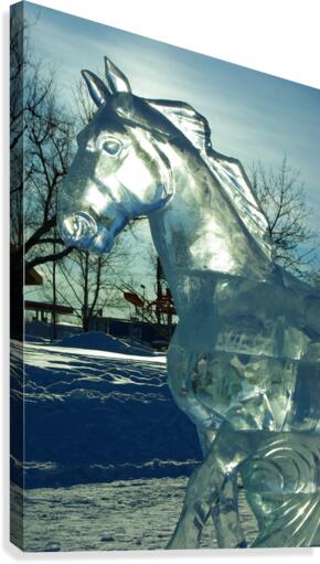 Ice Horse  Canvas Print