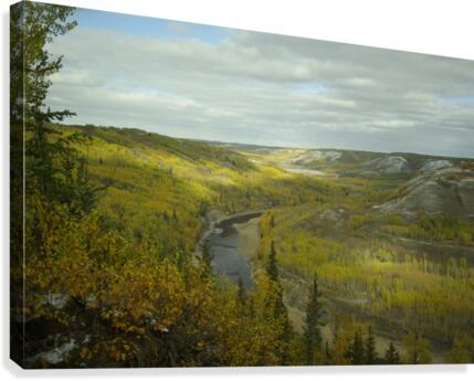 Fall Colours Canvas Print