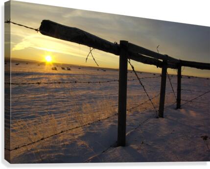 Winter Sunrise Canvas Print