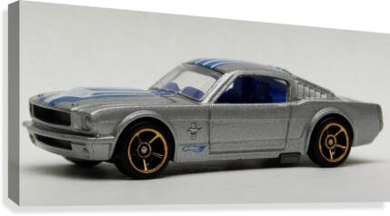 Mustang Canvas Print