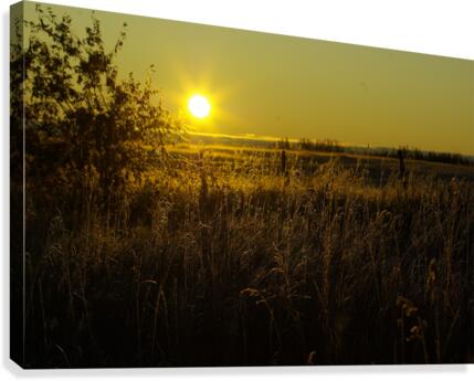 Fall Sunrise Canvas Print