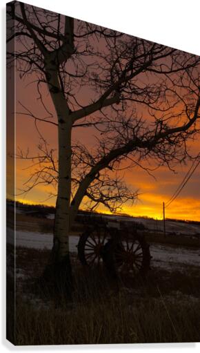 Sunrise Canvas Print