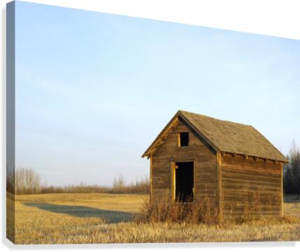 Grain Shed  Canvas Print