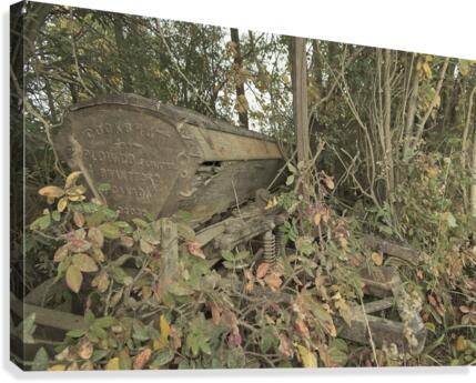 Overgrown Canvas Print