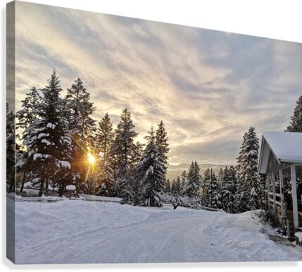 Winter Sunset Canvas Print