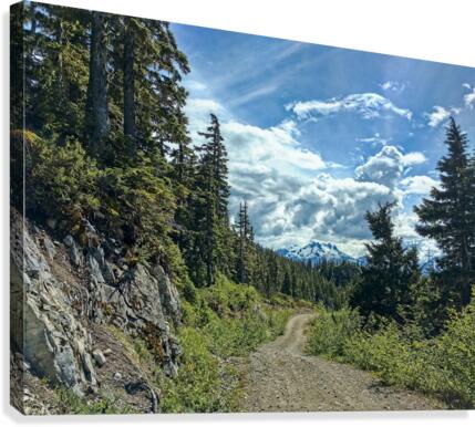 Mountain Road Canvas Print