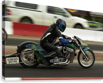 Harley Canvas Print