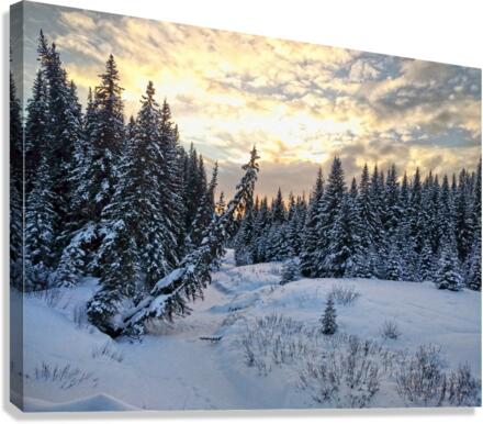 Frozen Canvas Print