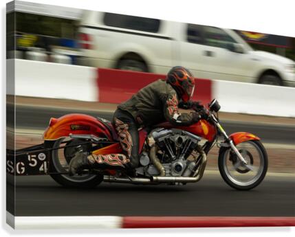 Harley Canvas Print