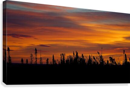 Sunset Canvas Print