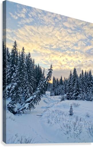 Frozen Canvas Print