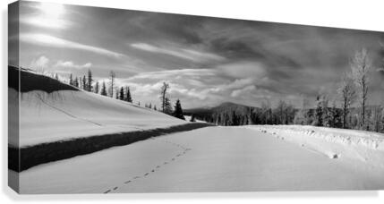 Winter Canvas Print