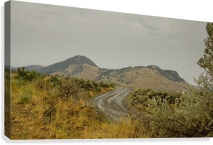 Summer Rain Canvas Print