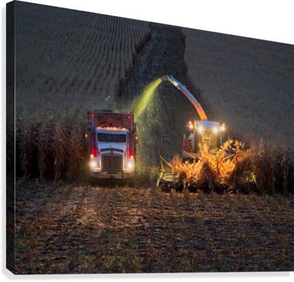 Harvest 2 Canvas Print