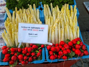 Amsterdam   Asparagus