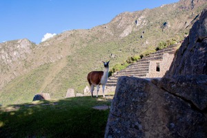 Machu Picchu