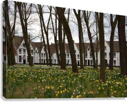 Amsterdam  Beginhoff   Canvas Print
