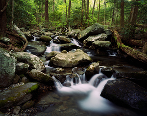 LeConte Creek Great Smoky Mountains Ntl Park TN 103086